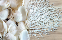 100 Floating White Seashells- White Coral Reef-Pearls-Aqua Sea Color Gels- Fills 1 Gallon for Your Vases- With Pre-Measured Prep Bag-Option of 3 Submersible Fairy Lights Strings